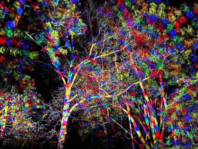 Lightscape Melbourne Returns With Its Best Trail Yet