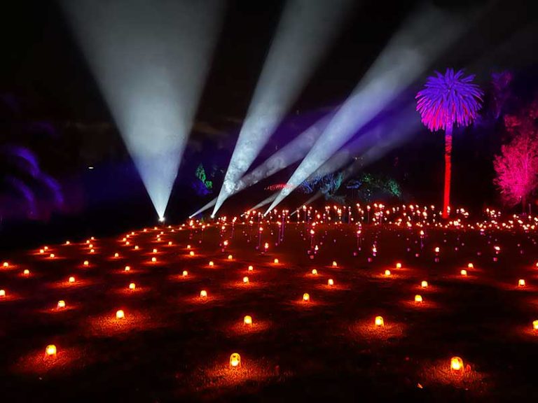 Lightscape Melbourne Returns With Its Best Trail Yet