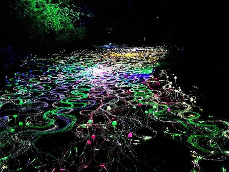 Lightscape Melbourne Returns With Its Best Trail Yet