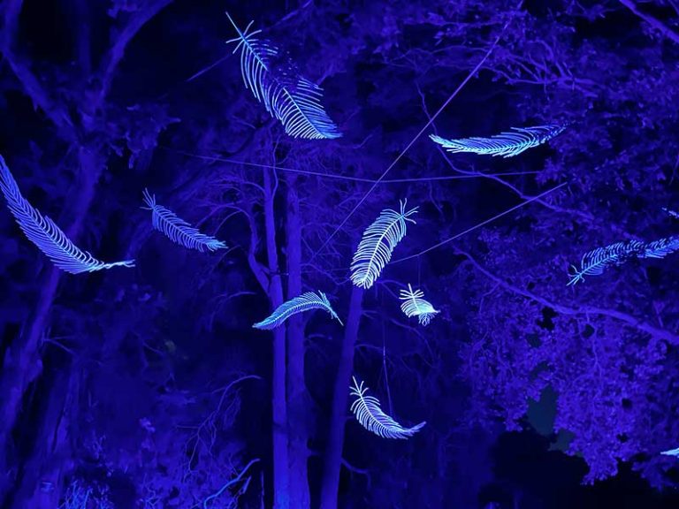 Lightscape Melbourne Returns With Its Best Trail Yet