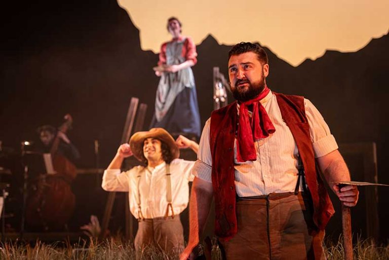 STELLA: A New Australian Musical Review | Australian Premiere